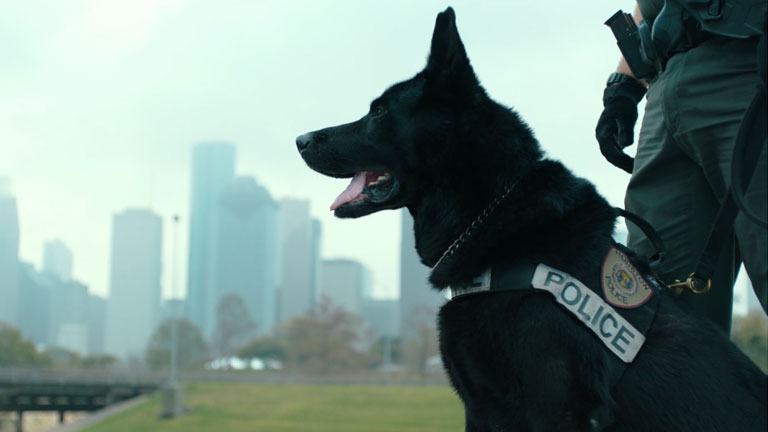 100 Club | Bravery Knows No Breed